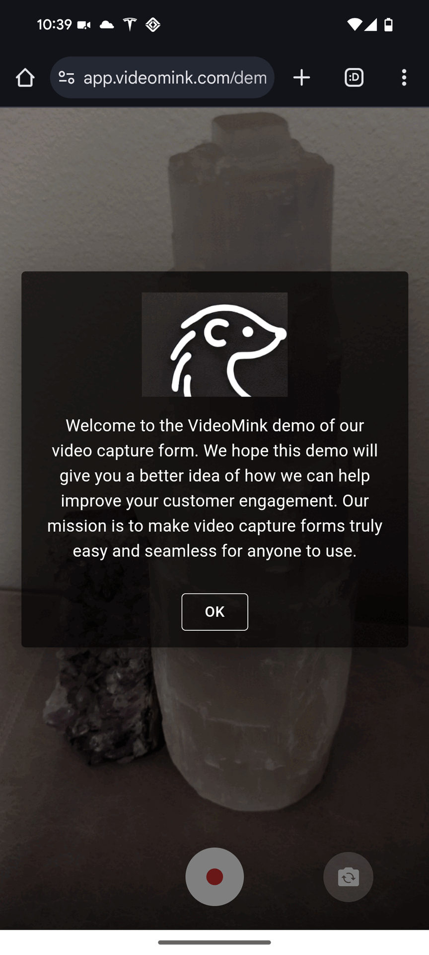 Interactive demonstration of VideoMink's video contact form interface